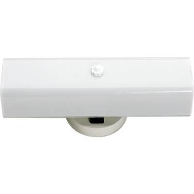 2 Light 14'' Vanity W/ Outlet by Nuvo