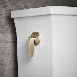 Archer Trip lever - image 5