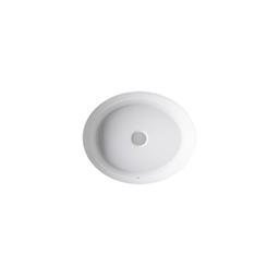 ArtifactsE 21-1/4'' oval undermount bathroom sink - image 12