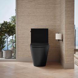 Brazn One-piece compact elongated toilet with skirted trapway, dual-flush - image 6