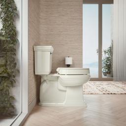 Elevated Quiet-CloseE elongated toilet seat - image 4