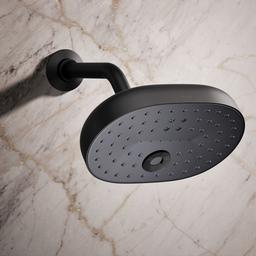 Statement Three-function showerhead, 2.5 gpm - image 2