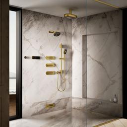 Anthem Digital control - image 4