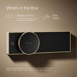 Anthem Digital control - image 9