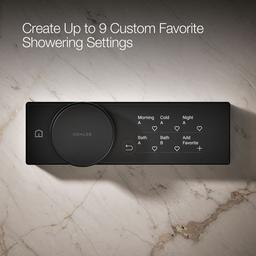 Anthem Digital control - image 6
