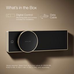 Anthem Digital control - image 9