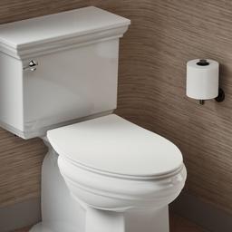 Carbyne Quiet-CloseE elongated toilet seat - image 2