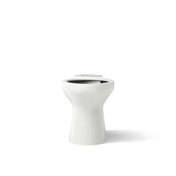 Cimarron Elongated toilet bowl - image 4