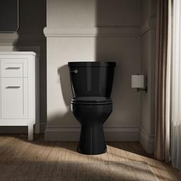 Cimarron Round-front toilet bowl - image 3