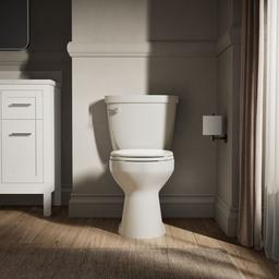 Cimarron Round-front toilet bowl - image 3