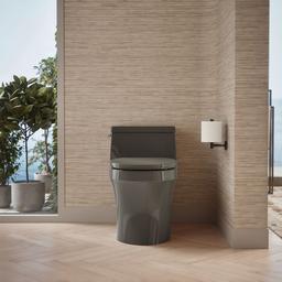 San Souci One-piece round-front toilet, 1.28 gpf - image 5
