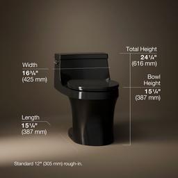 San Souci One-piece round-front toilet, 1.28 gpf - image 3