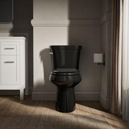 Highline Elongated toilet bowl - image 5