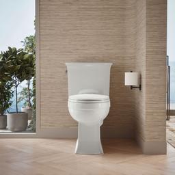 Archer Elongated toilet bowl - image 4