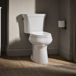 Highline Elongated toilet bowl - image 4