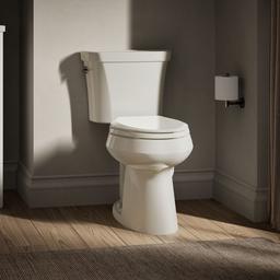 Highline Elongated toilet bowl - image 4