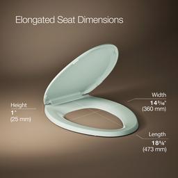 LustraE Quick-ReleaseE elongated toilet seat - image 3
