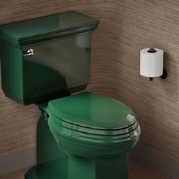 LustraE Quick-ReleaseE elongated toilet seat - image 2