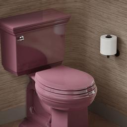 LustraE Quick-ReleaseE round-front toilet seat - image 2