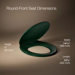 LustraE Quick-ReleaseE round-front toilet seat - image 3
