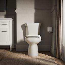 Highline Elongated toilet bowl - Biscuit - image 4