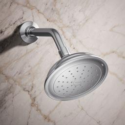 Artifacts Single-function showerhead, 1.75 gpm - image 2