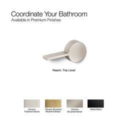 Reach Right-hand trip lever - image 9