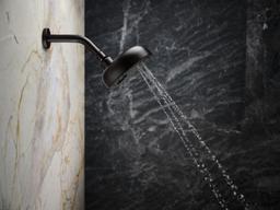 Statement Three-function showerhead, 2.5 gpm - image 15