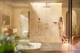 Statement Oblong three-function handshower, 2.5 gpm - image 16