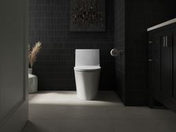 Impro ReadyLatch Quiet-CloseE elongated toilet seat - image 19