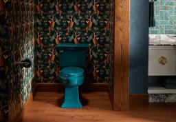 GlenburyE ReadyLatch Quiet-CloseE elongated toilet seat - image 15