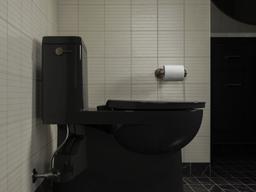 Impro ReadyLatch Quiet-CloseE elongated toilet seat - image 21