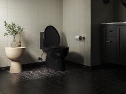 Impro ReadyLatch Quiet-CloseE elongated toilet seat - image 29