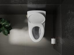 Glissade ReadyLatch Quiet-CloseE elongated toilet seat - image 21