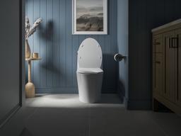 Carbyne Quiet-CloseE elongated toilet seat - image 17