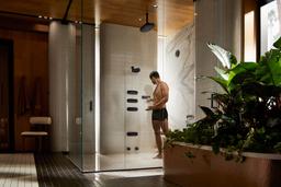 Statement Three-function showerhead, 2.5 gpm - image 24