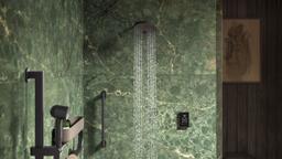 BelayE 24'' grab bar - image 10