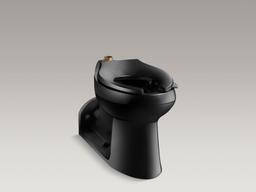 AngleseyE Floor-mount top spud flushometer bowl with bedpan lugs - image 4