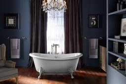 Artifacts ball-and-claw feet - image 12