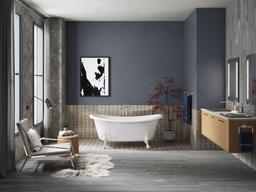 Artifacts ball-and-claw feet - image 17