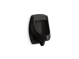 DexterE Washout half-stall 0.125 gpf urinal, rear spud - image 3