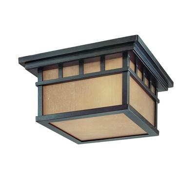 Barton 2Lt Ceiling Winchester by Dolan Design