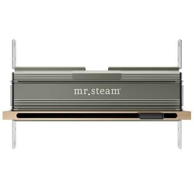 Linear 16 in. W. Steamhead with AromaTherapy Reservoir in Brushed Bronze by Mr. Steam