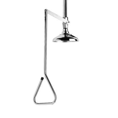 Speakman Lifesaver Stainless Steel Vertical Emergency Shower by Speakman