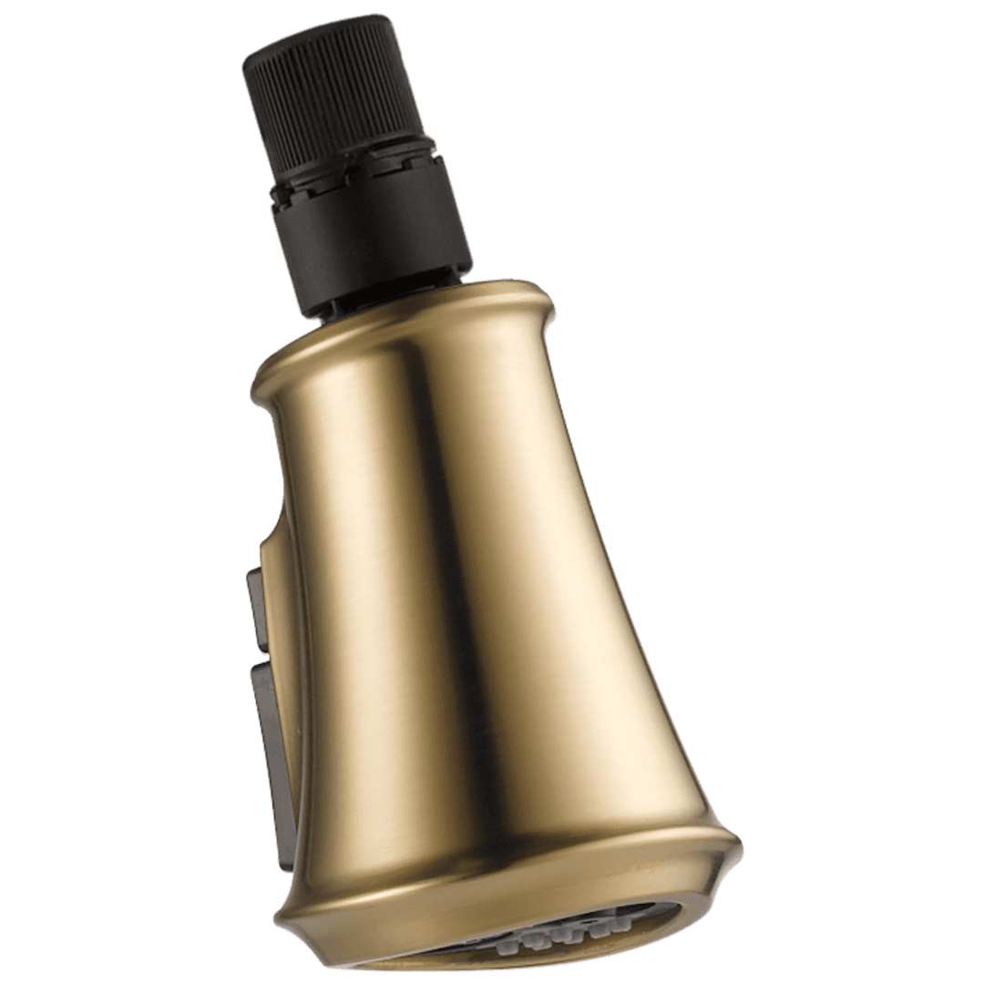 CassidyE Wand Assembly by Delta Faucet