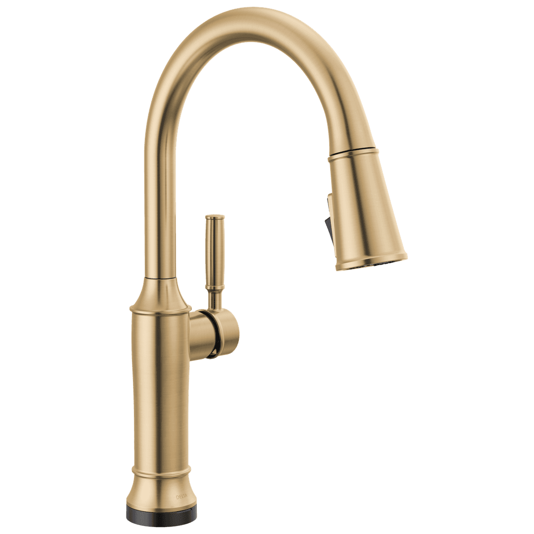 RenaldiE Touch2O Kitchen Faucet with Touchless Technology by Delta Faucet