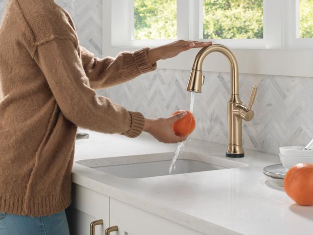 RenaldiE Touch2O Bar / Prep Faucet with Touchless Technology