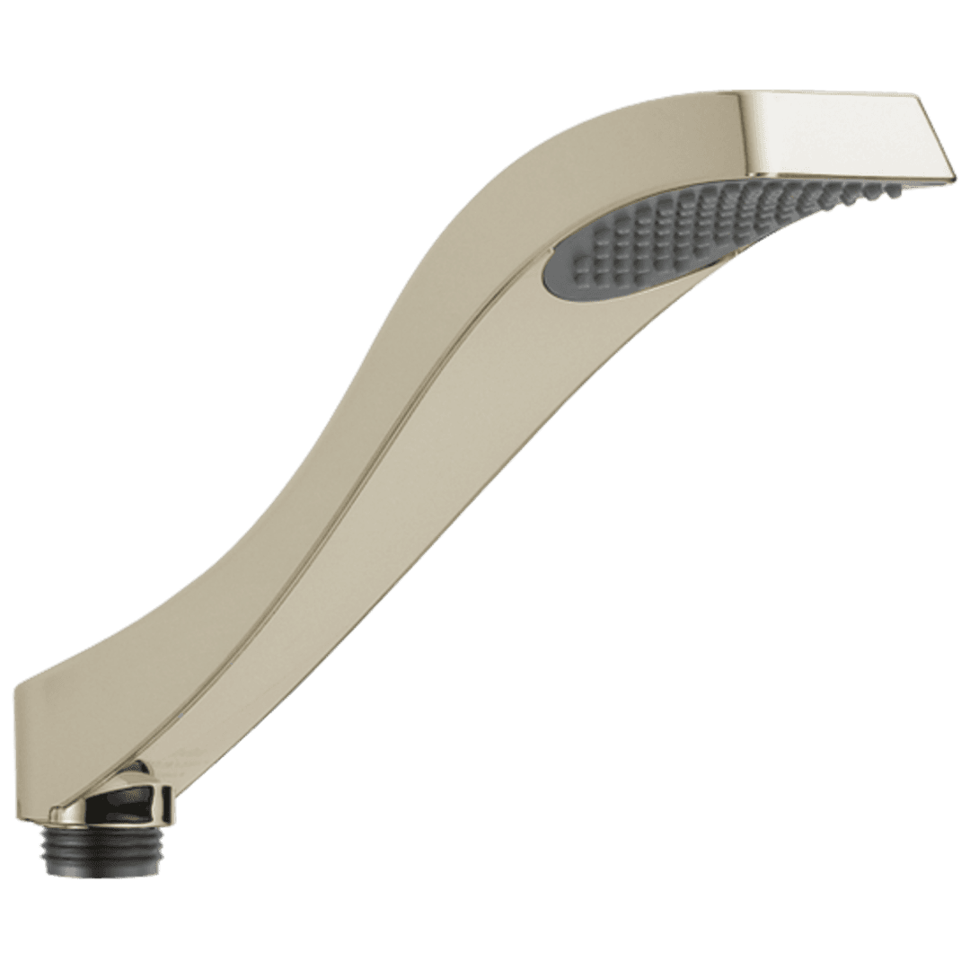 DrydenE Hand Shower - Roman Tub - Polished Nickel by Delta Faucet